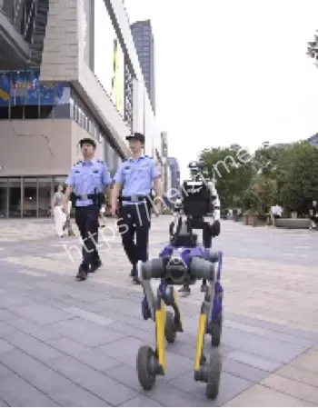 机器狗拦截黄金诈骗